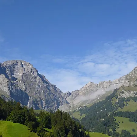 Daire Birkenstrasse 70-1 By Interhome