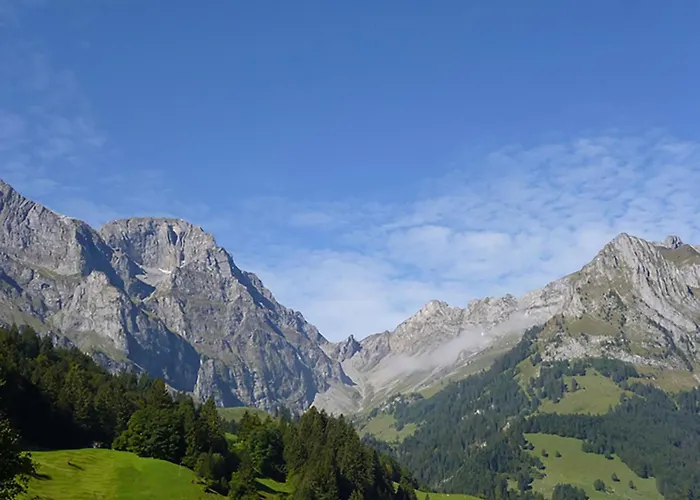 Apartment Birkenstrasse 70/1